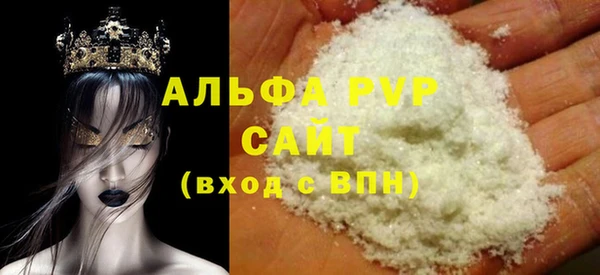ГАЛЛЮЦИНОГЕННЫЕ ГРИБЫ Богданович