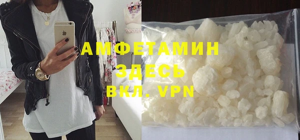ГАЛЛЮЦИНОГЕННЫЕ ГРИБЫ Богданович
