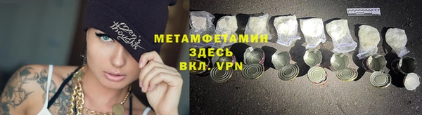 ГАЛЛЮЦИНОГЕННЫЕ ГРИБЫ Богданович