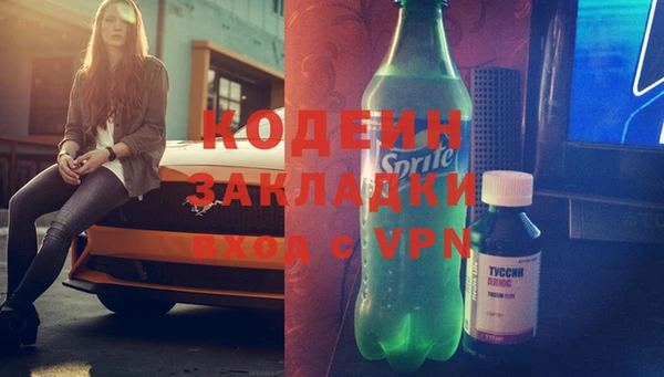 ГАЛЛЮЦИНОГЕННЫЕ ГРИБЫ Богданович